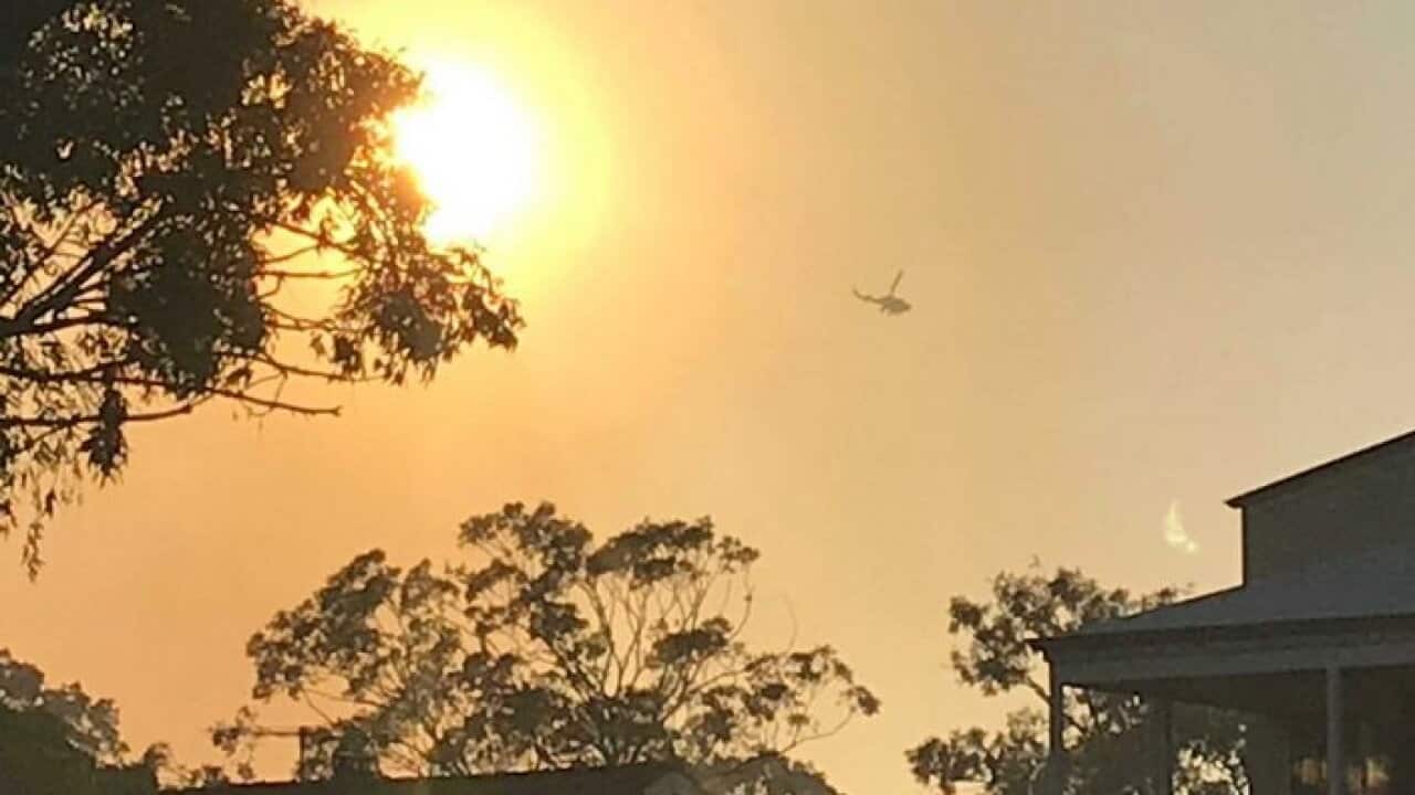 Bushfire in Kings Park, Western Australia