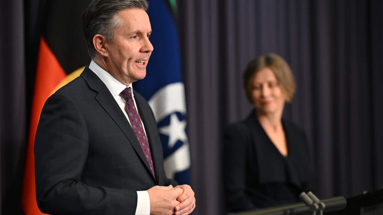 Australian Health Minister Mark Butler addresses the media about NDIS legislation - AAP