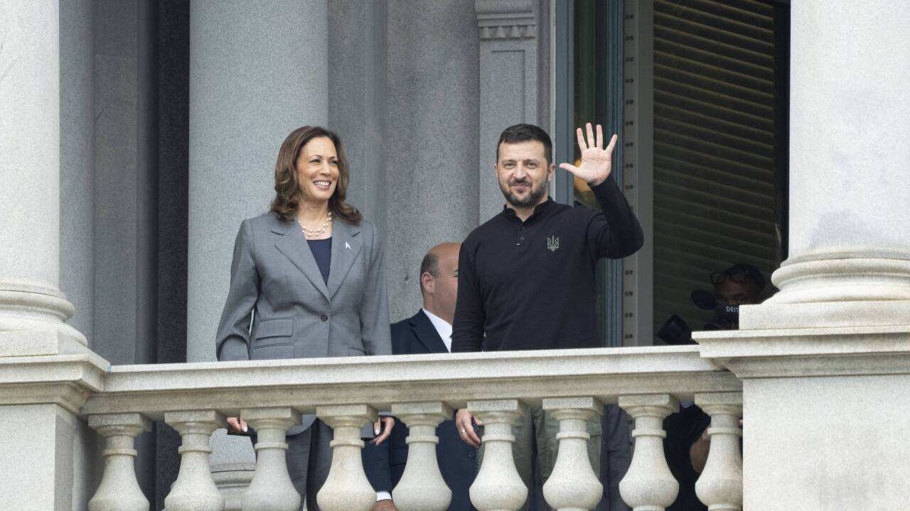 Harris And Zelensky Meet - Washington