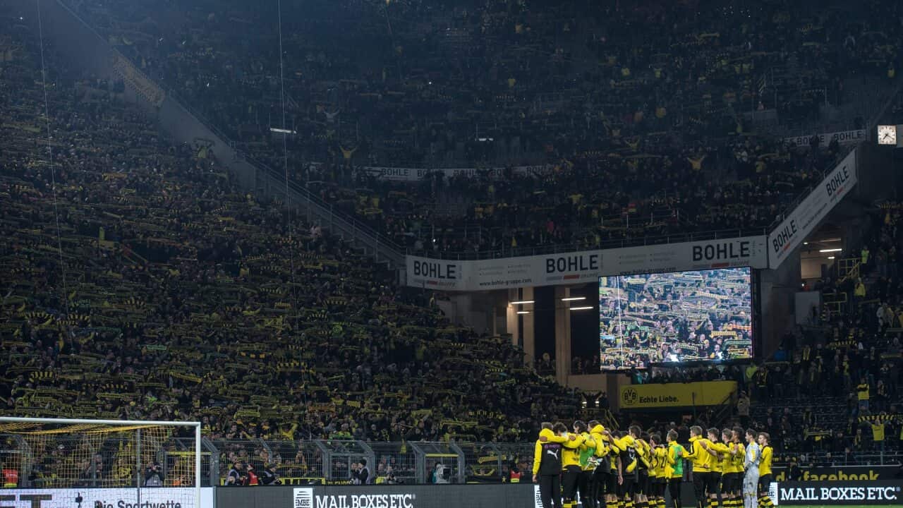 Dortmund fans