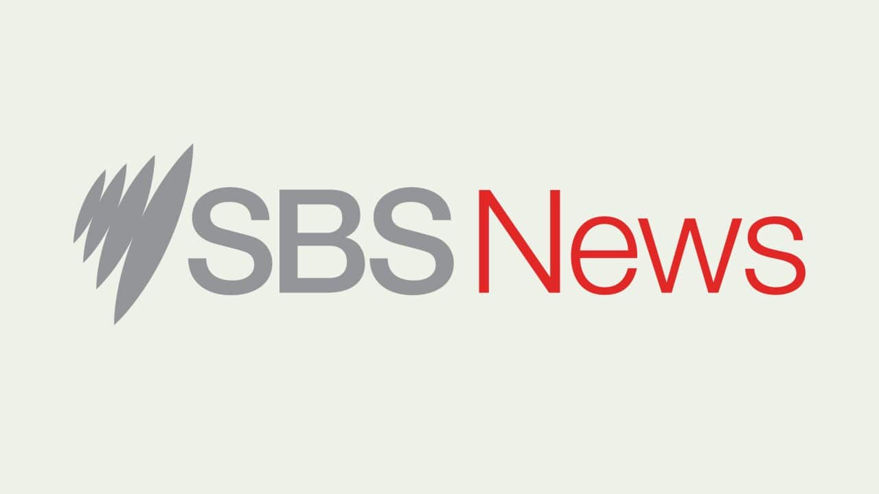 PODCAST SBSNEWS 3000x3000.jpg