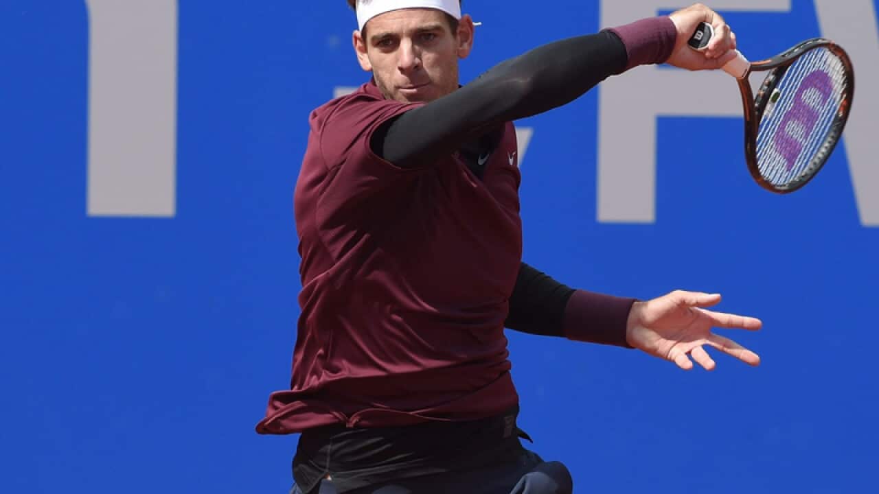 Argentinian tennis player Juan Martin del Potro