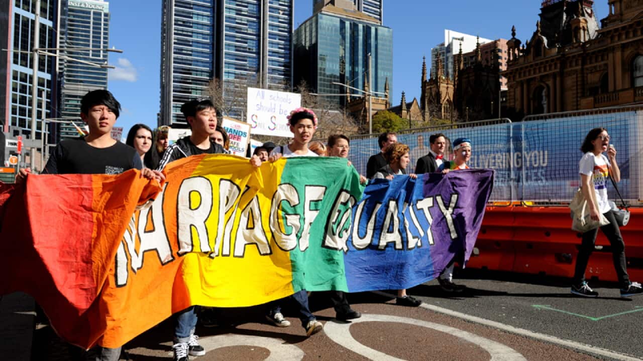 Labor MPs are set to deliver their verdict on the government's proposed gay marriage plebiscite.