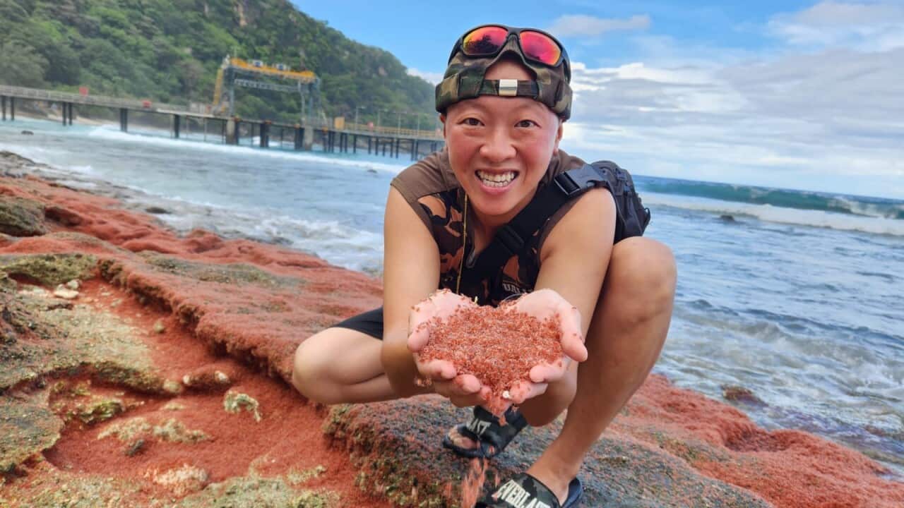 Image for read more article ''