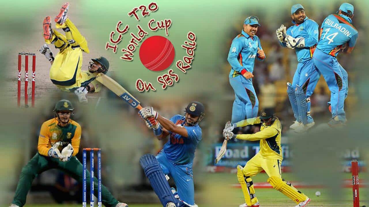 T20 World Cup