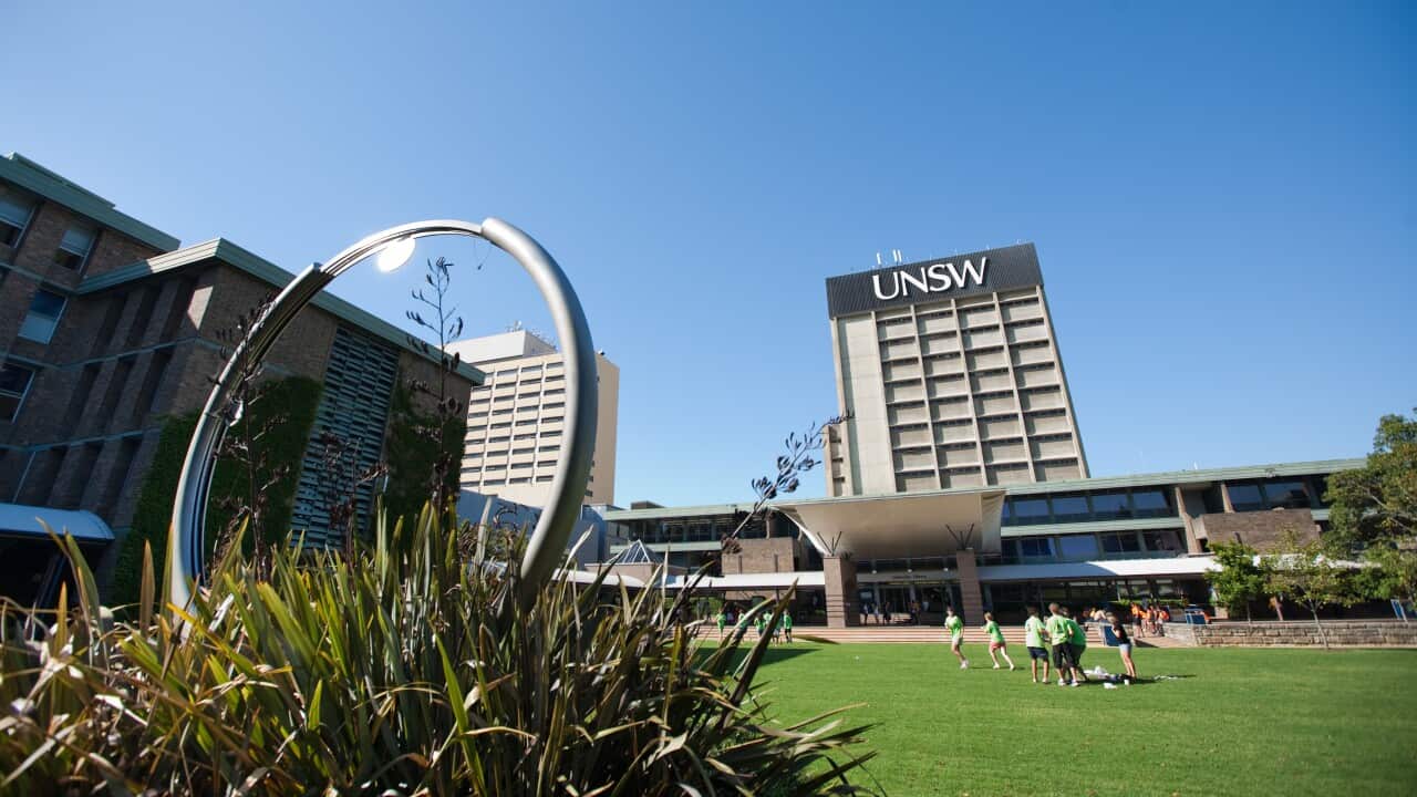 University of New South Wales