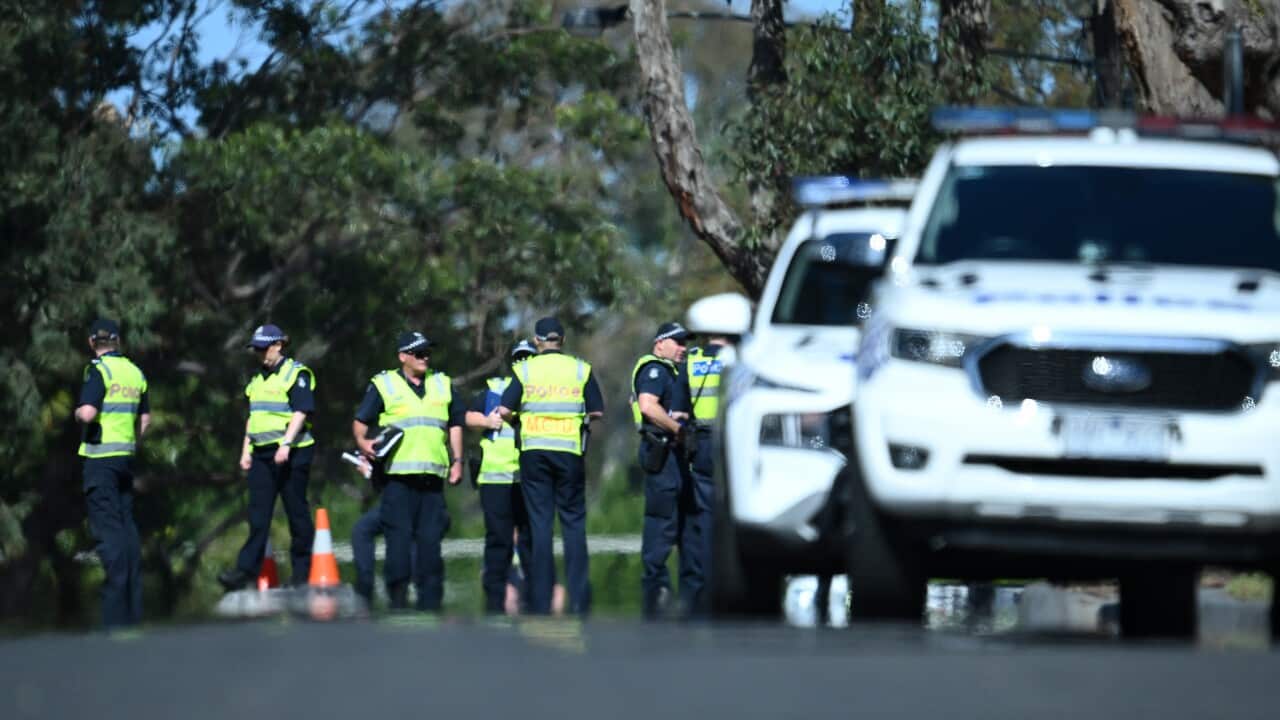 Police and police vehicles on the road.