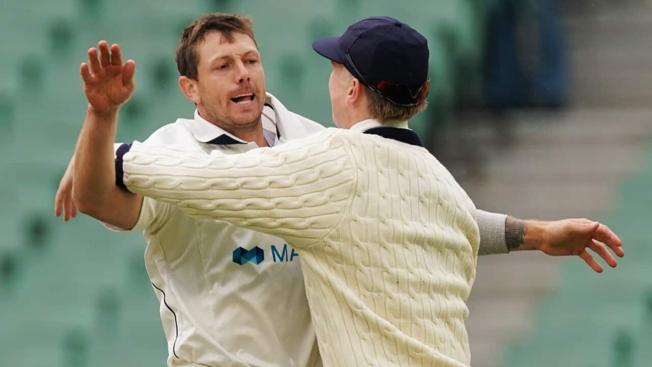 James Pattinson of Victoria celebrates the wicket of Jack Wildermuth of Queensland