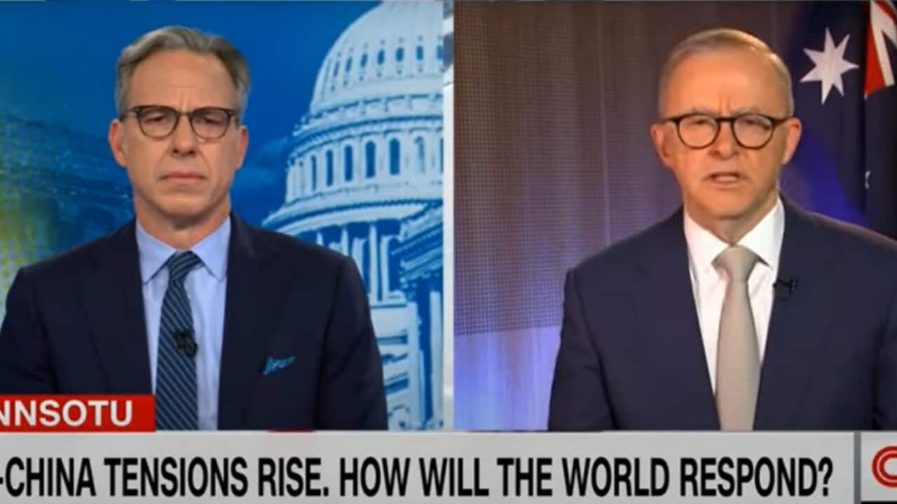Australian Prime Minister Anthony Albanese on CNN