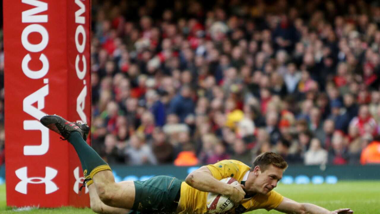 Australia's Dane Haylett-Petty