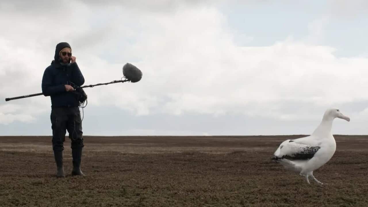 Ettore Camerlenghi nell'isola di Kerguelen.