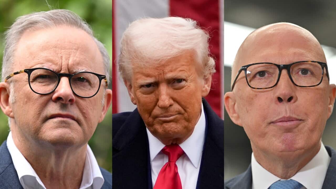 A three-way image of Peter Dutton, Donald Trump and Anthony Albanese.