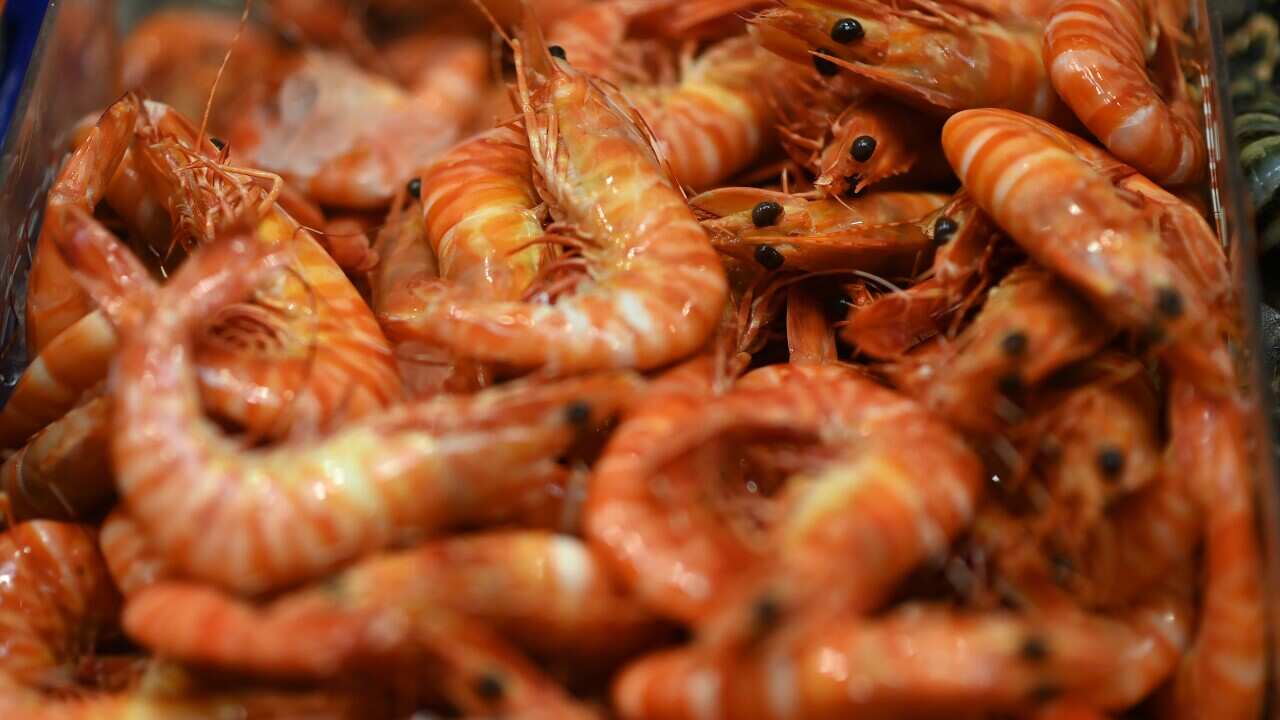 MELBOURNE CHRISTMAS FISH MARKETS