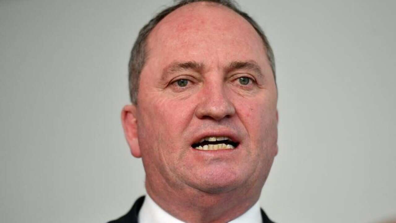 Former deputy prime minister Barnaby Joyce