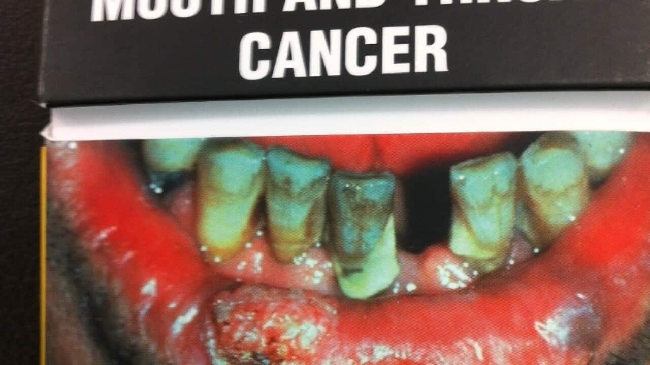 An example of a cigarette package is displayed during a press conference with Associate Health Minister Tariana Turia in 2013 