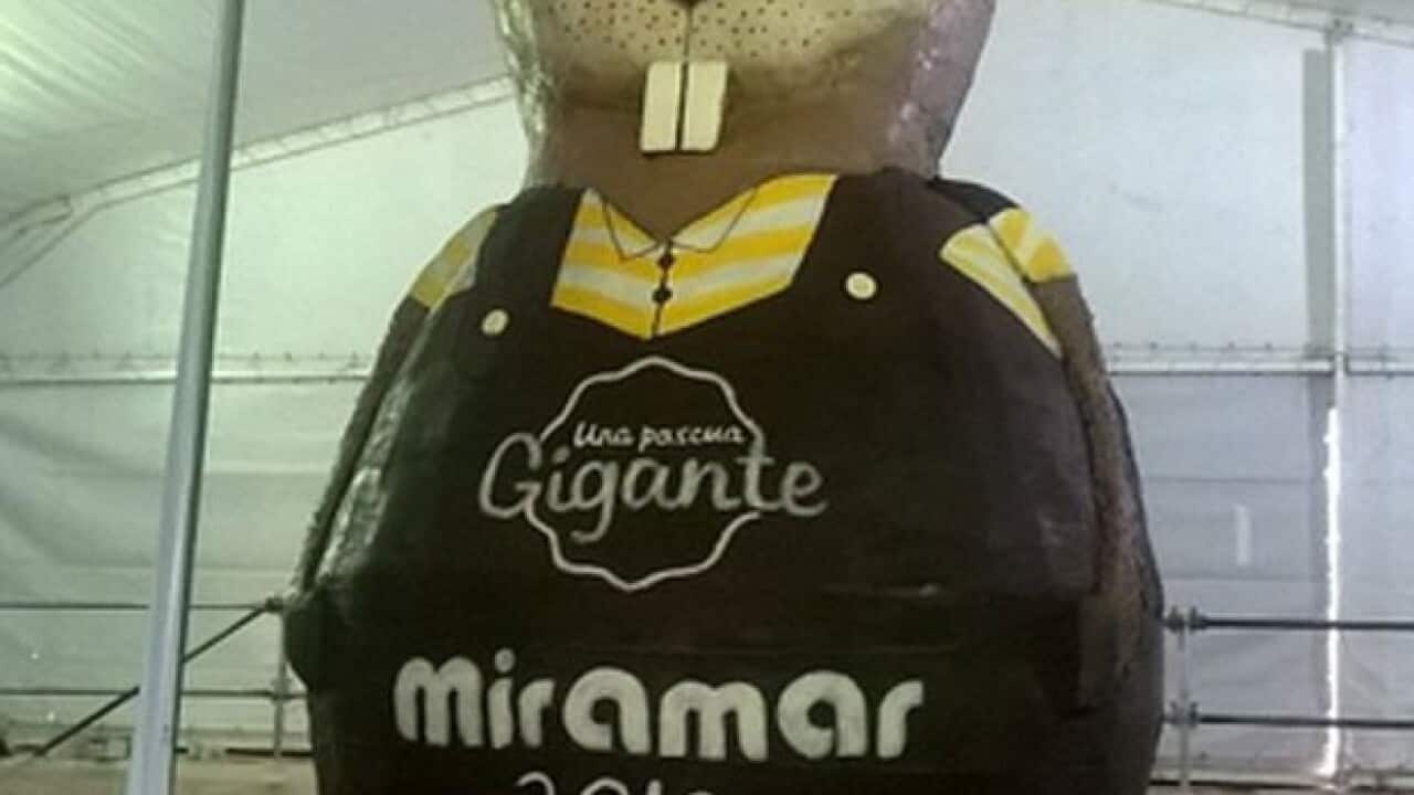 That's alot of chocolate