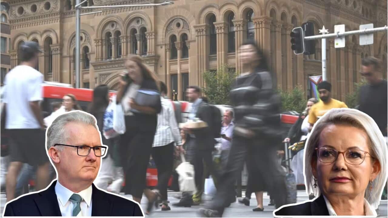 Image for read more article 'READ MORE'