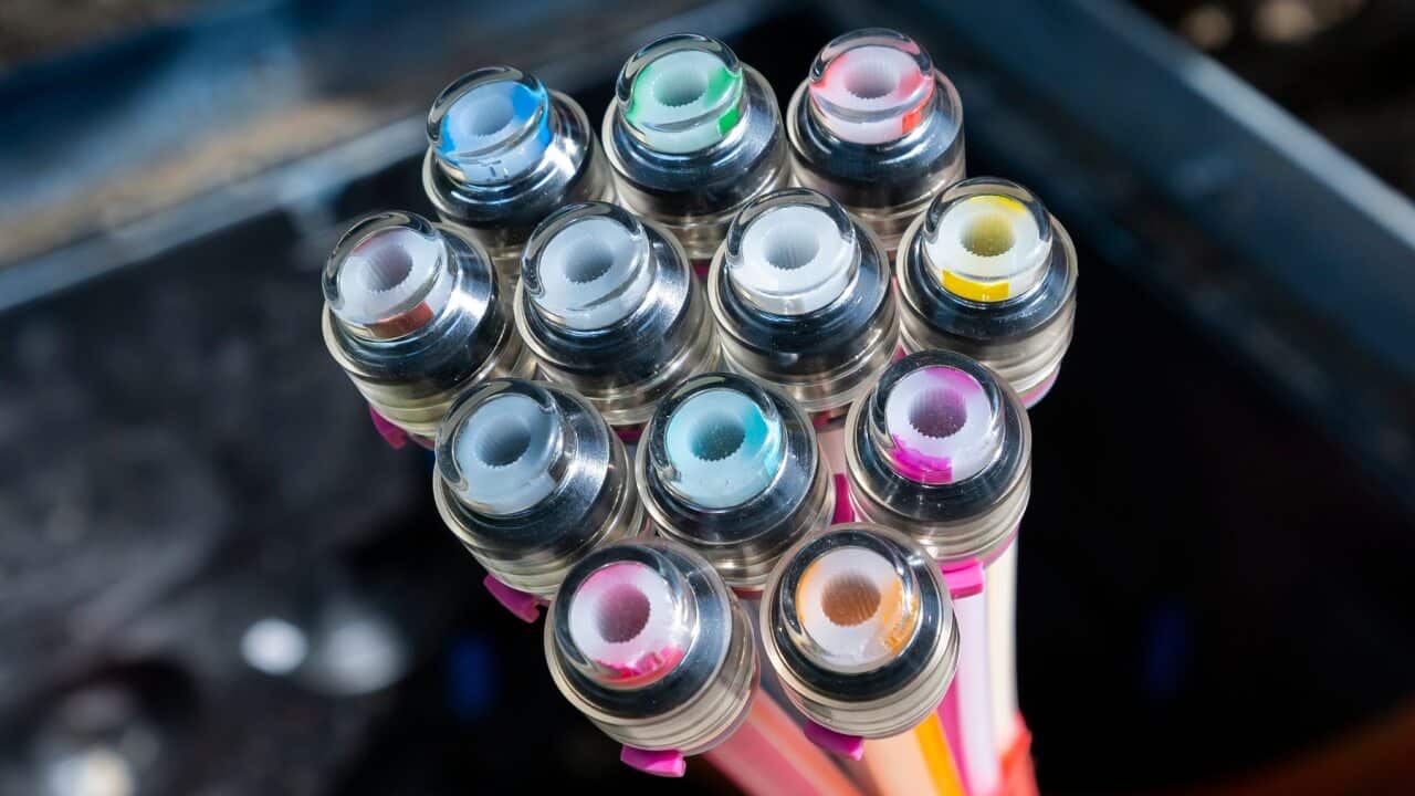 A bundle of fibre optic cables