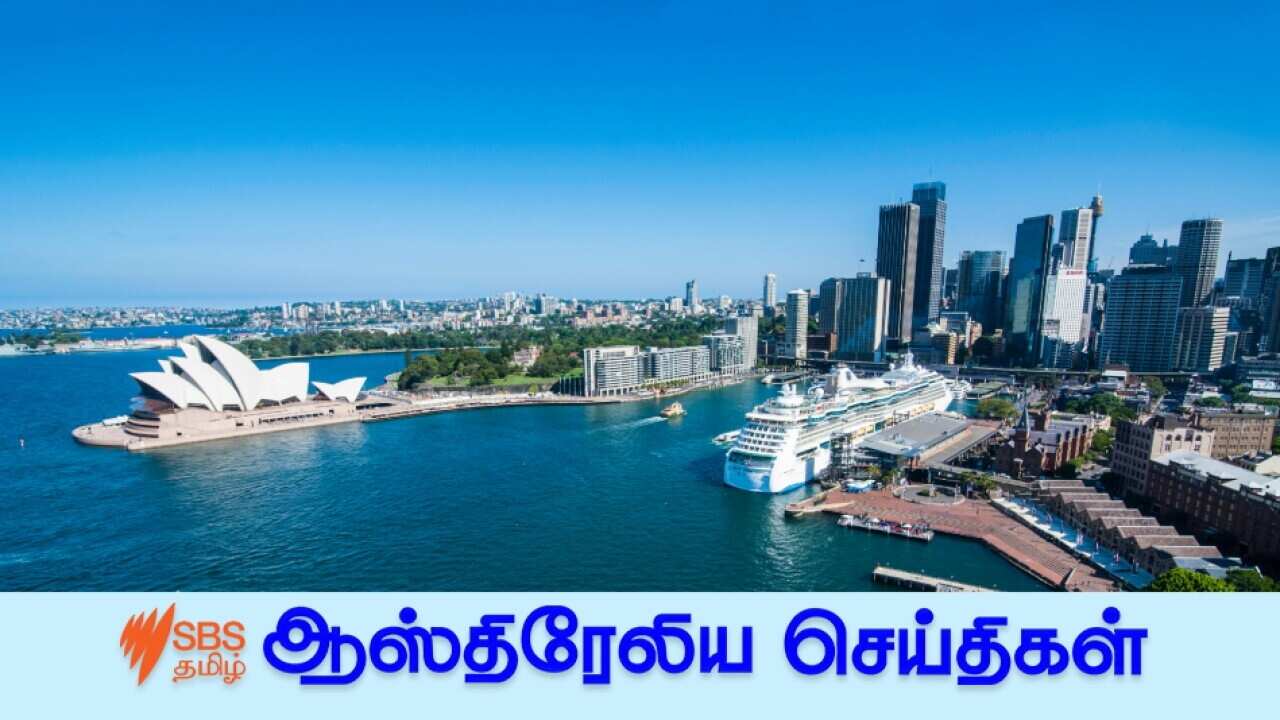 News 12 (1).jpg