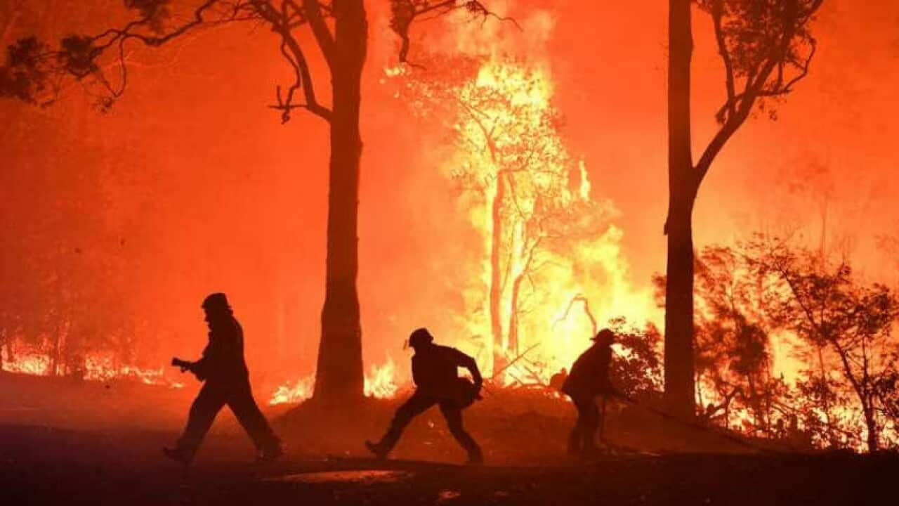 Bush fires AAP.jpg