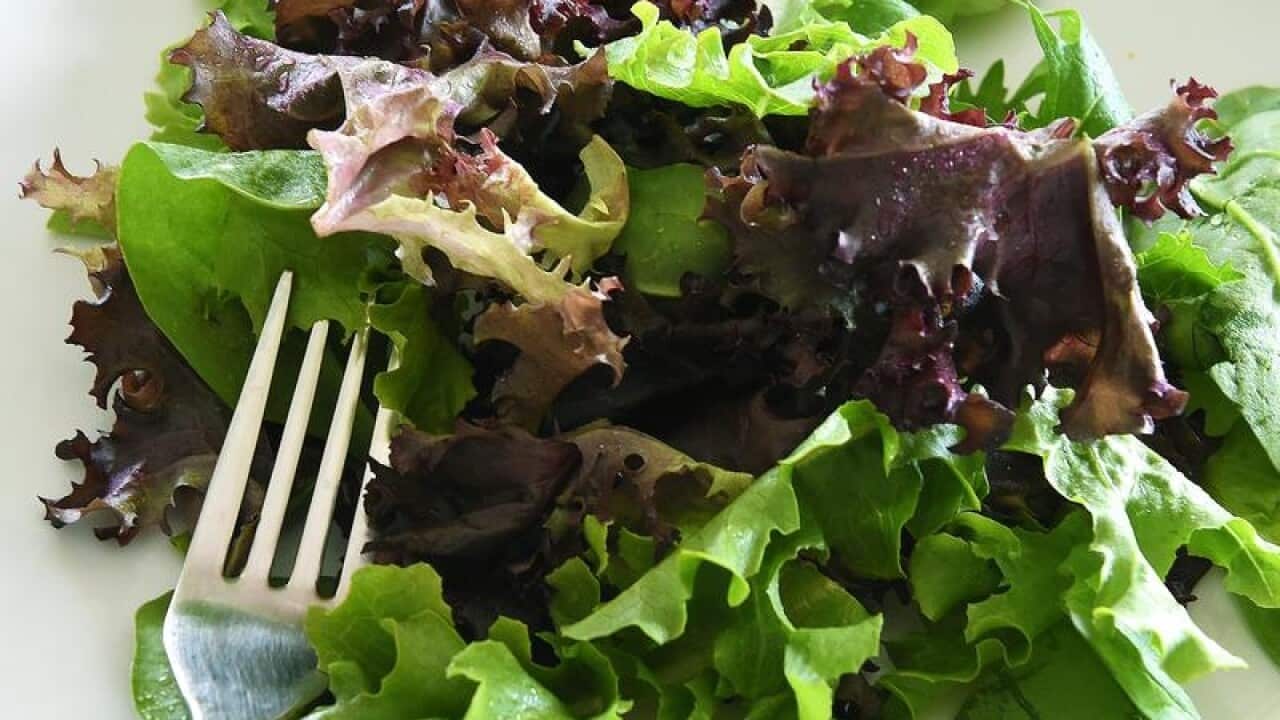 Pre-packed lettuce is seen on a plate.