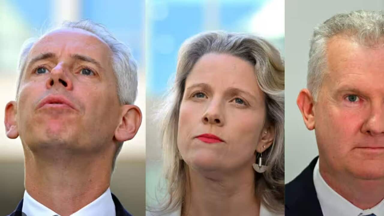 Cabinet SBS News.jpg