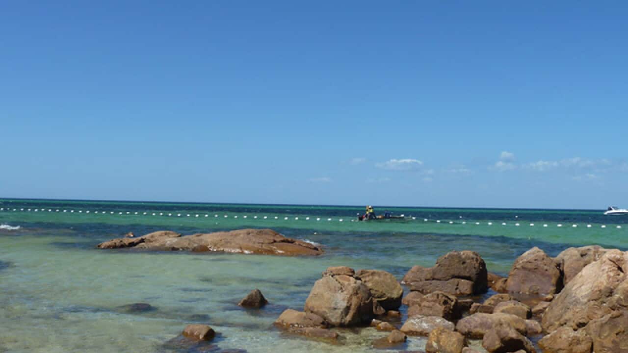 A shark barrier seen in Perth