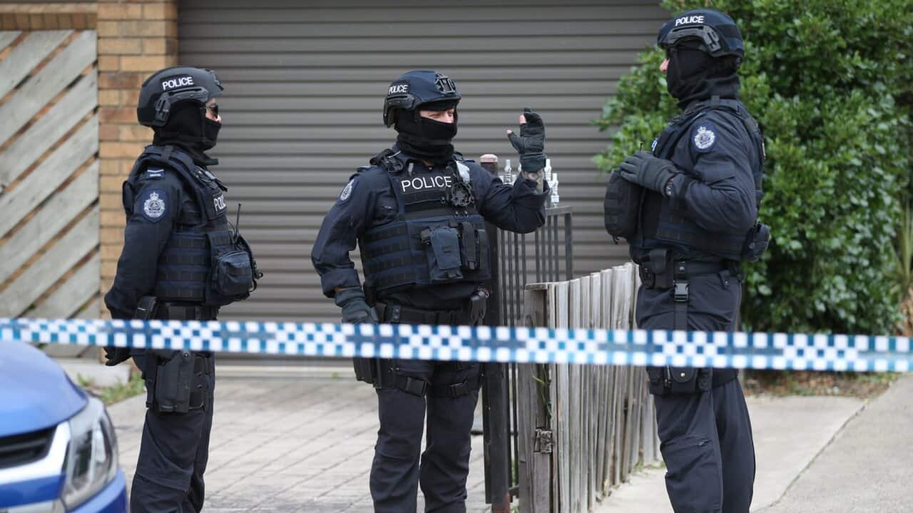 terror raids