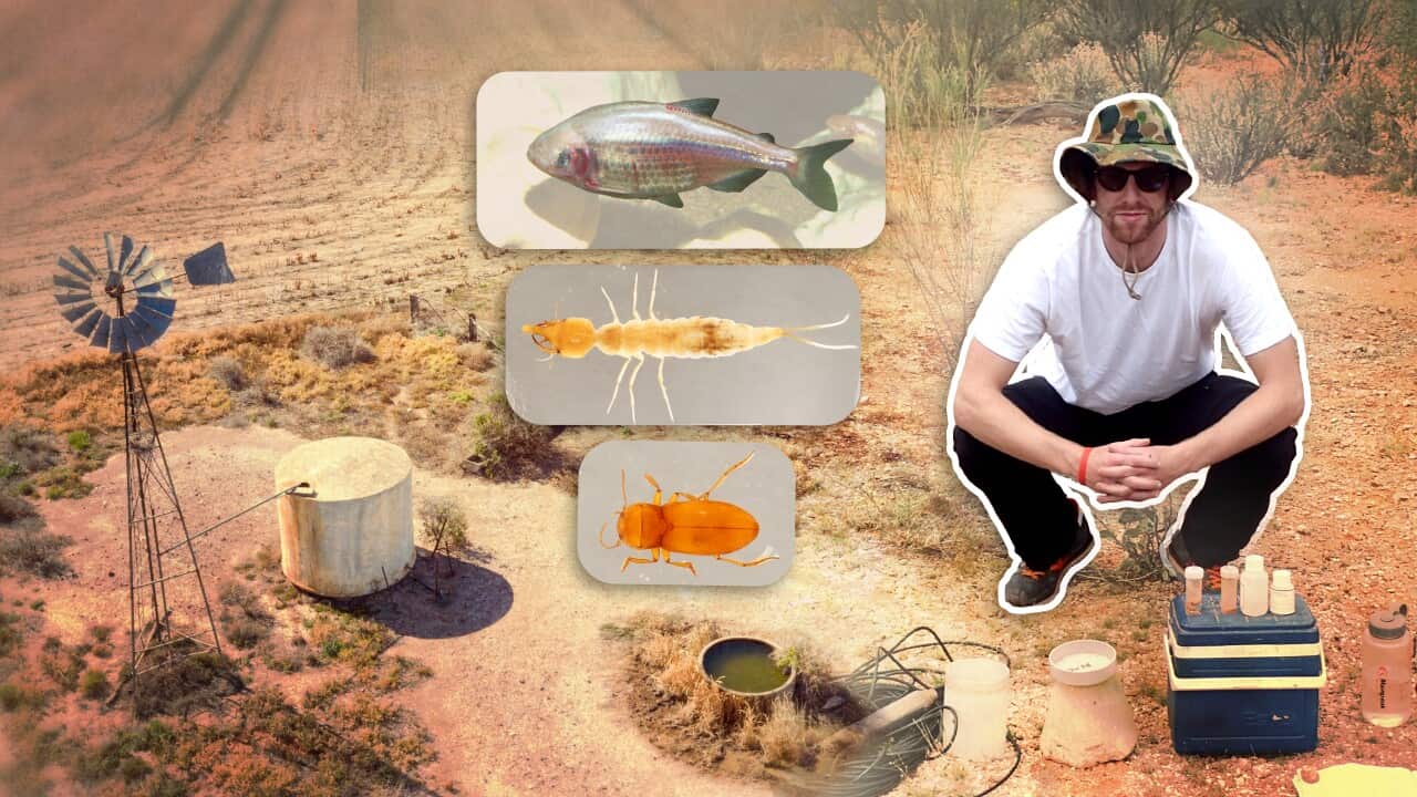 GROUNDWATER HEADER ALC 16X9 1.jpg