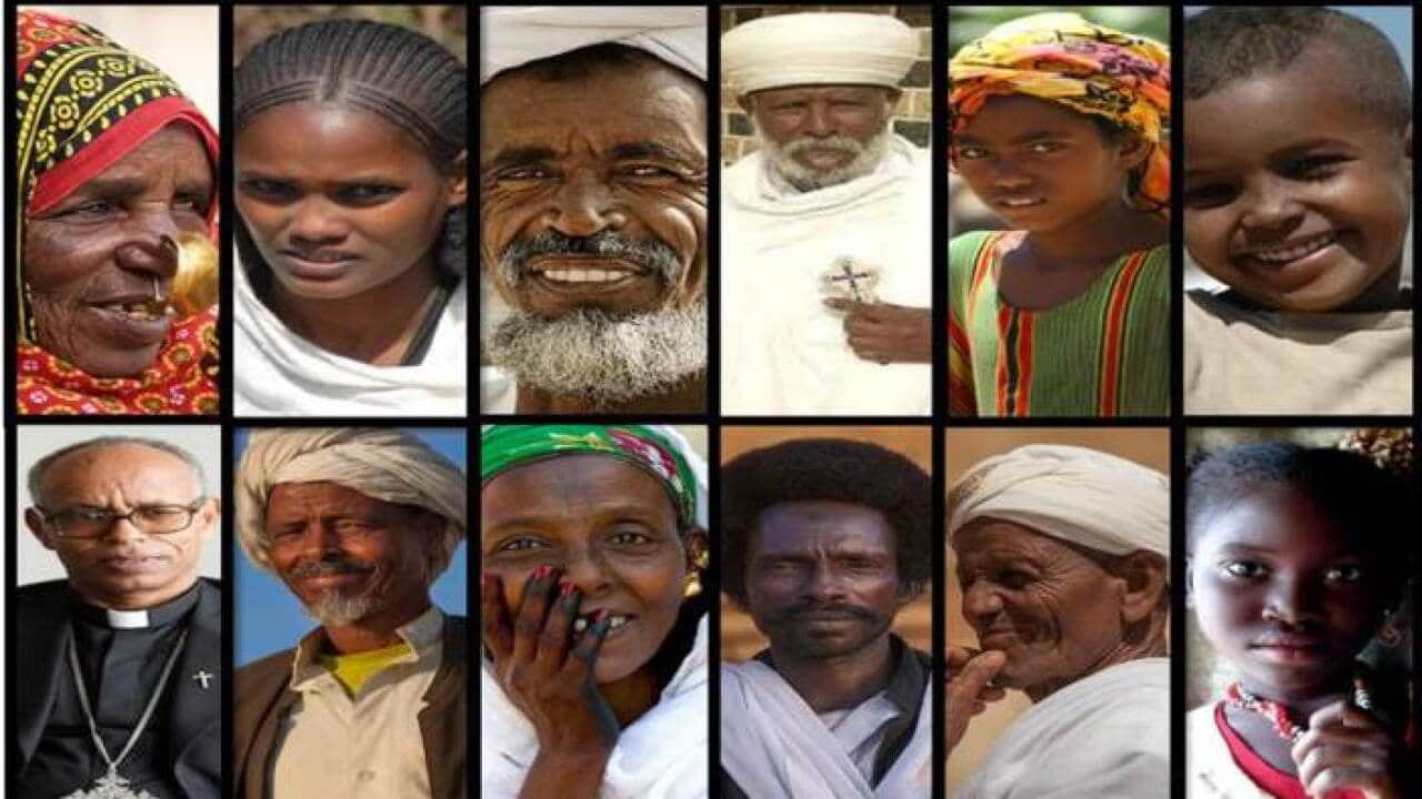 SBS Tigrinya Interview on Diversity