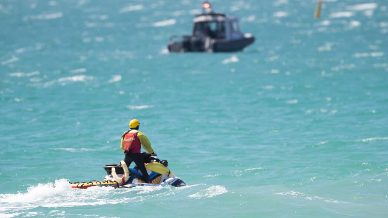 FREMANTLE SHARK ATTACK