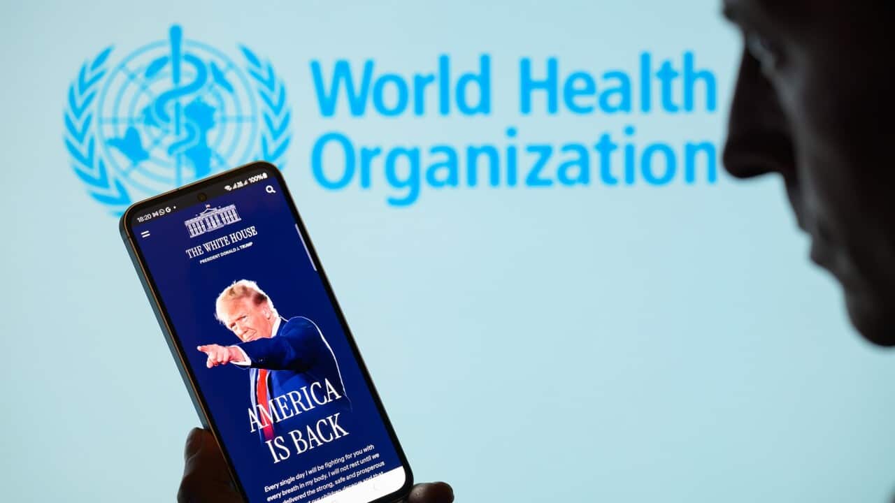 President Donald Trump - World Health Organization (WHO) - Photo Illustration