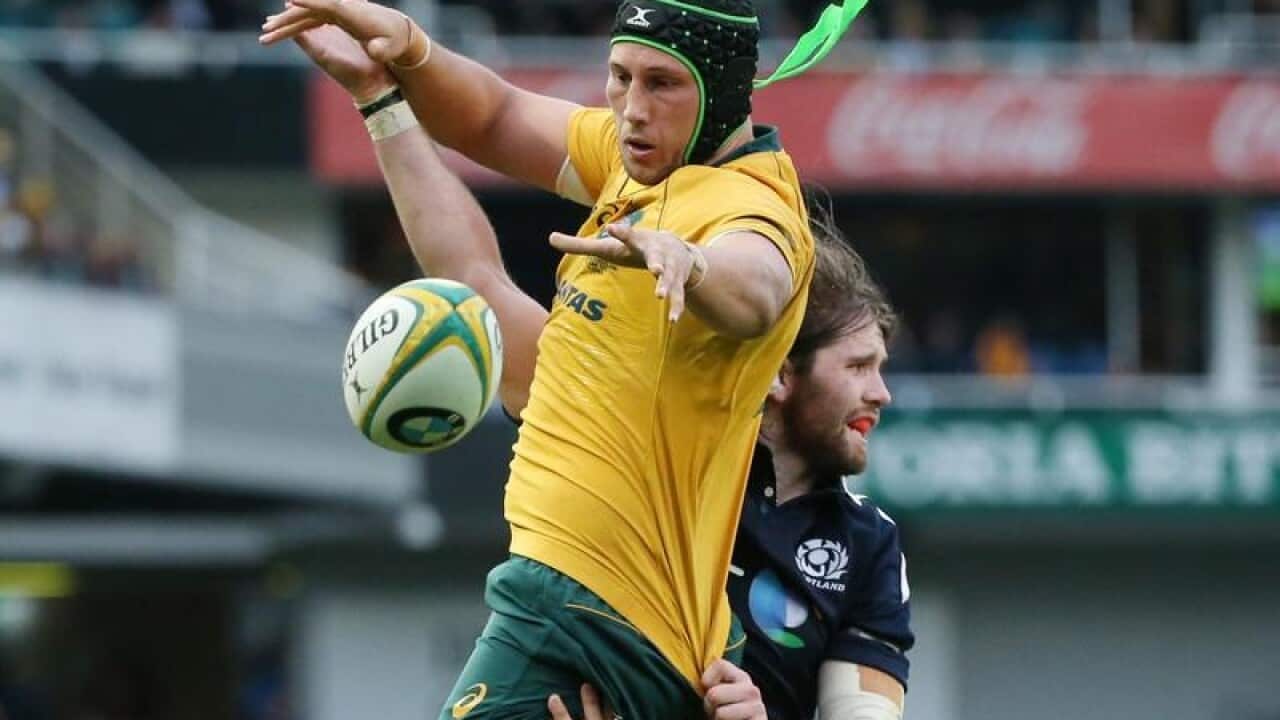 Wallabies lock Adam Coleman