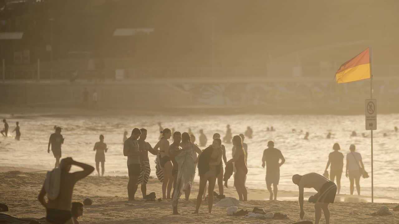 People on a beach on a hazy day.