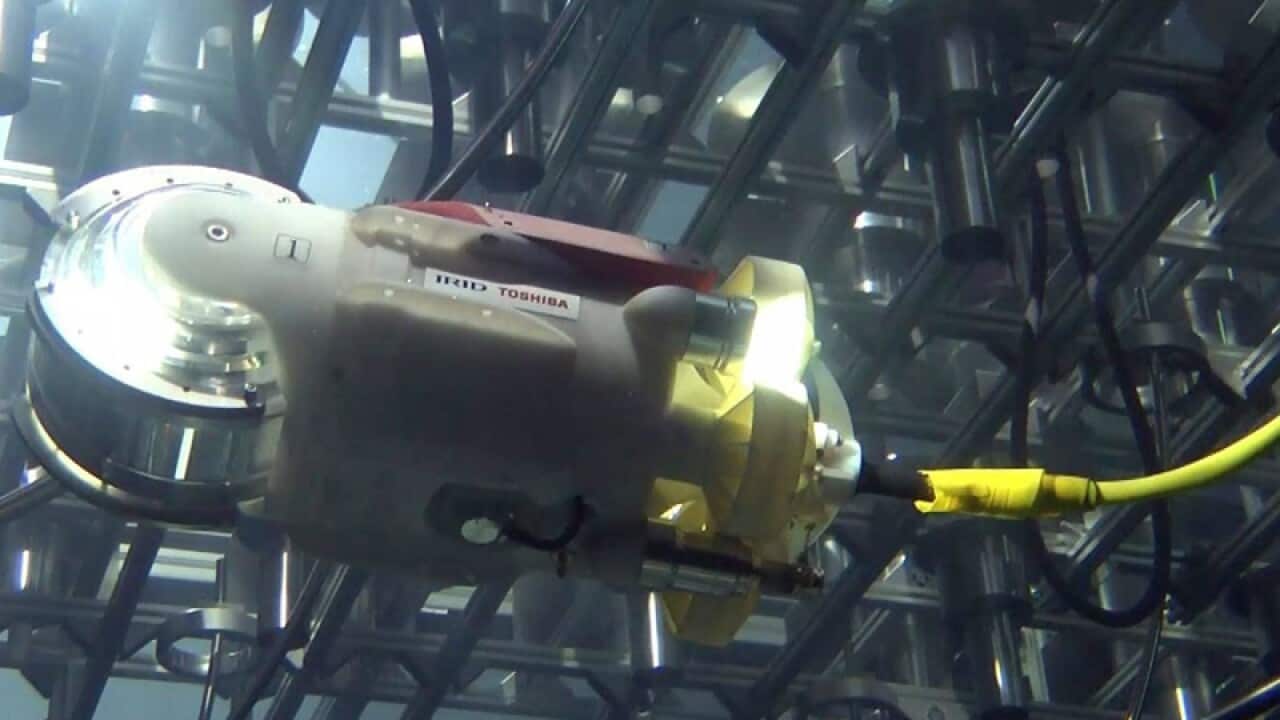 Nuclear Decommissioning (IRID) submersible robot