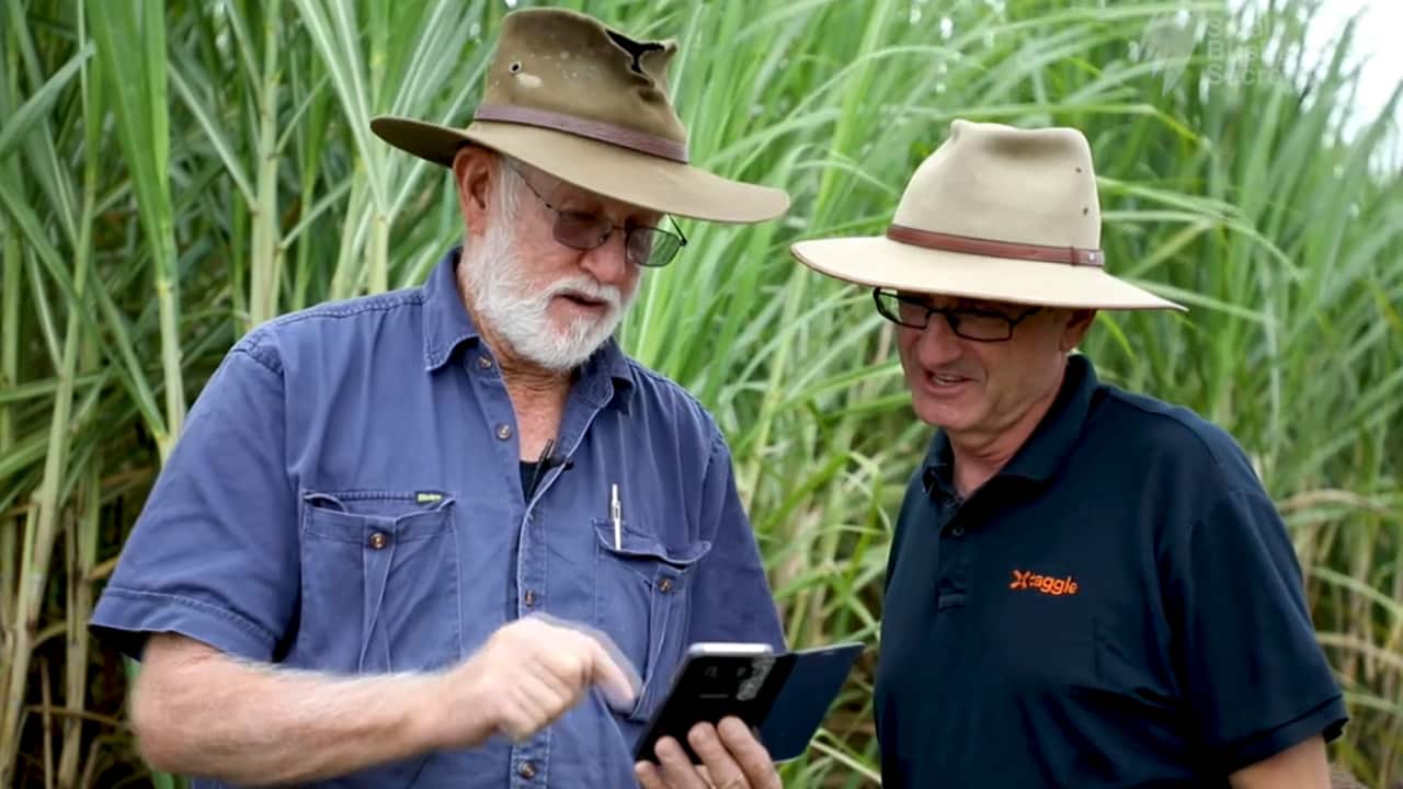 Smart technology is transforming farming methods