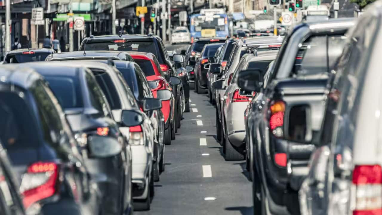 cars on the road.png