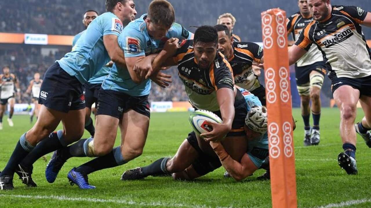 Brumbies