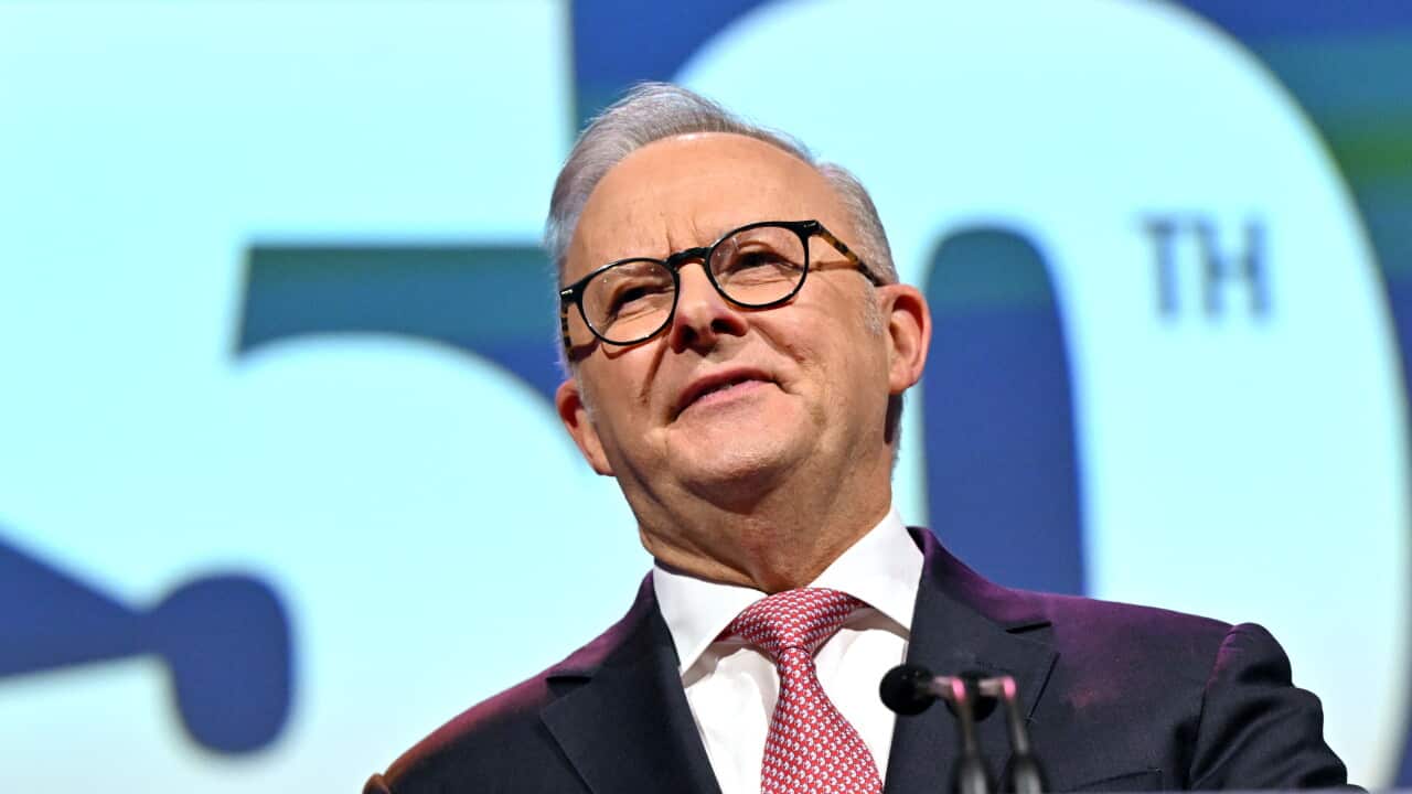An escalator malfunction was one of the few times Albanese appeared to lose control over events at Labor's national conference.