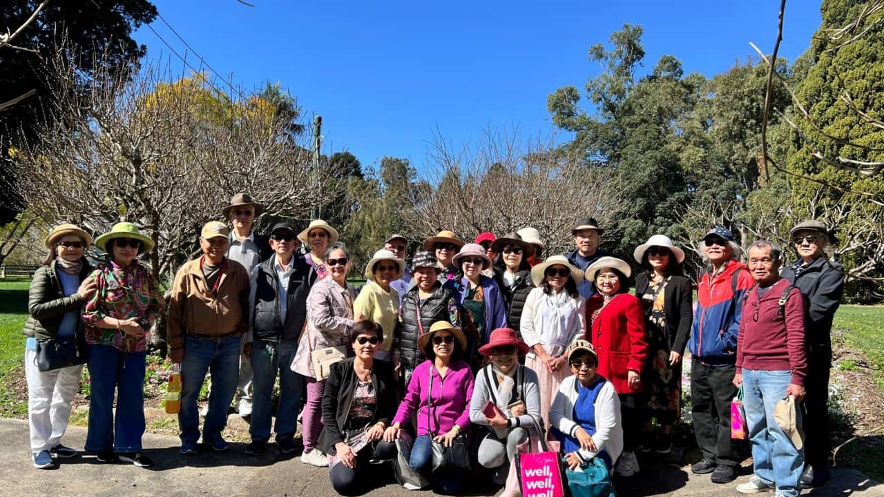 Image for read more article 'READ MORE'