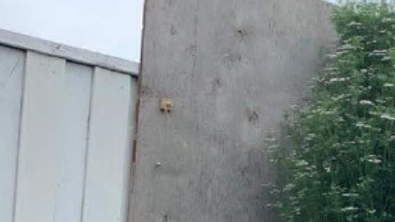 Image for read more article ''