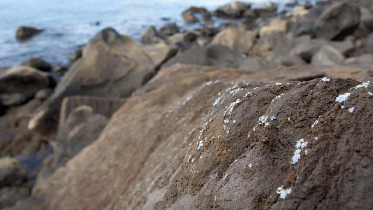 'Plasticrusts' on the surface of rocks in Madeira island.