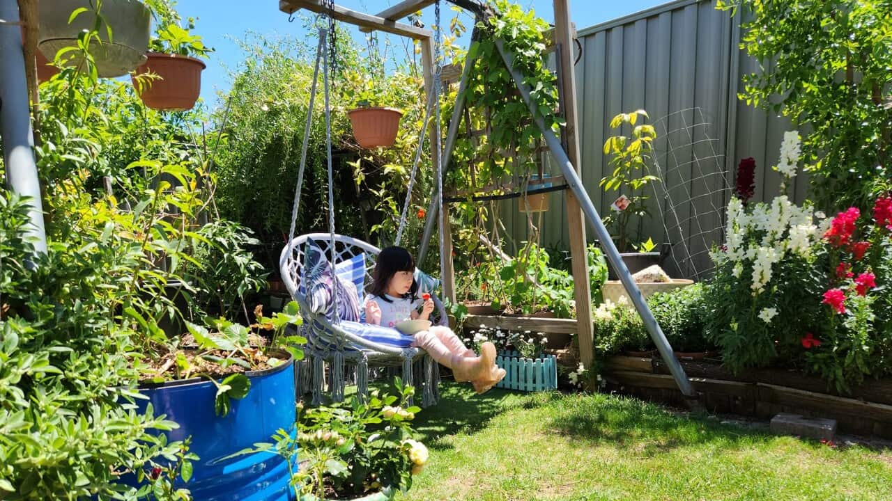 Image for read more article 'Đọc thêm'