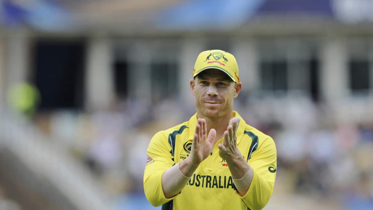 David Warner