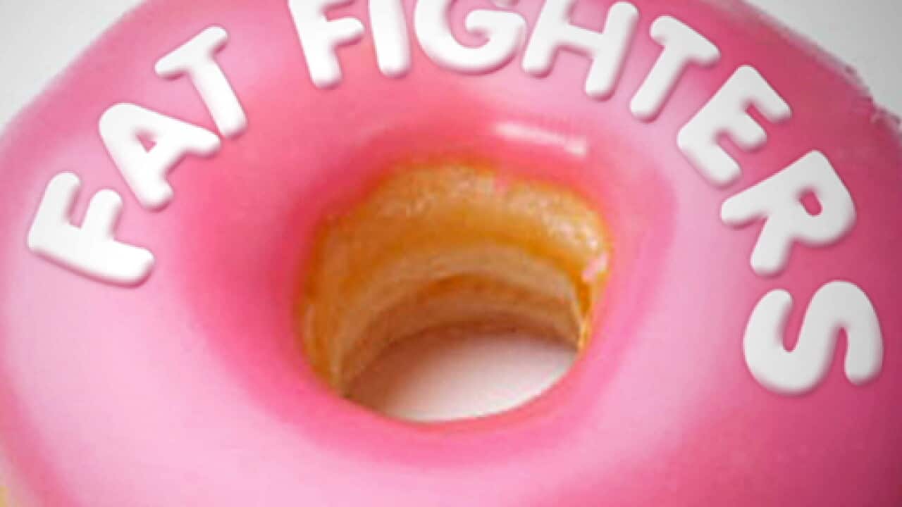 WNA-fat-fighters-500X375_788291127