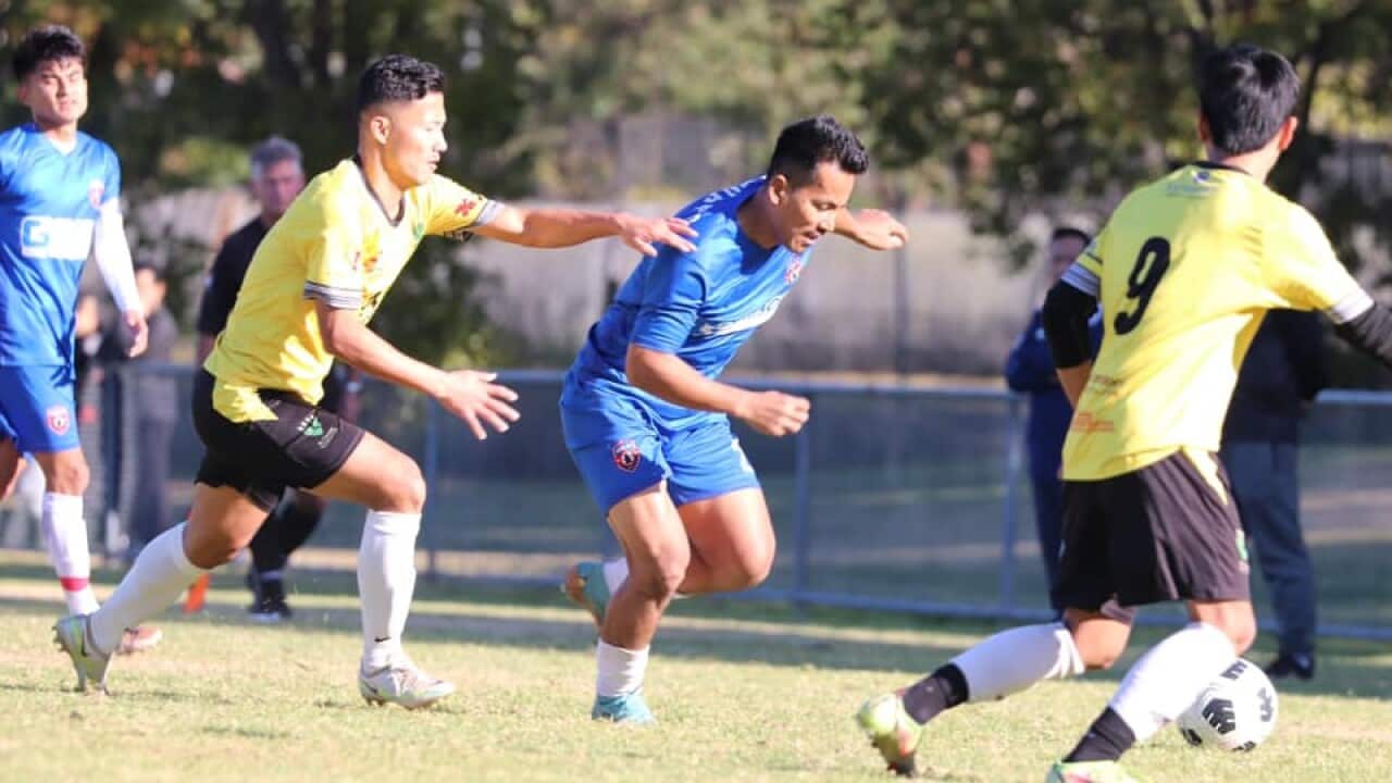 Image for read more article 'नेपालीमा पढ्नुहोस्'