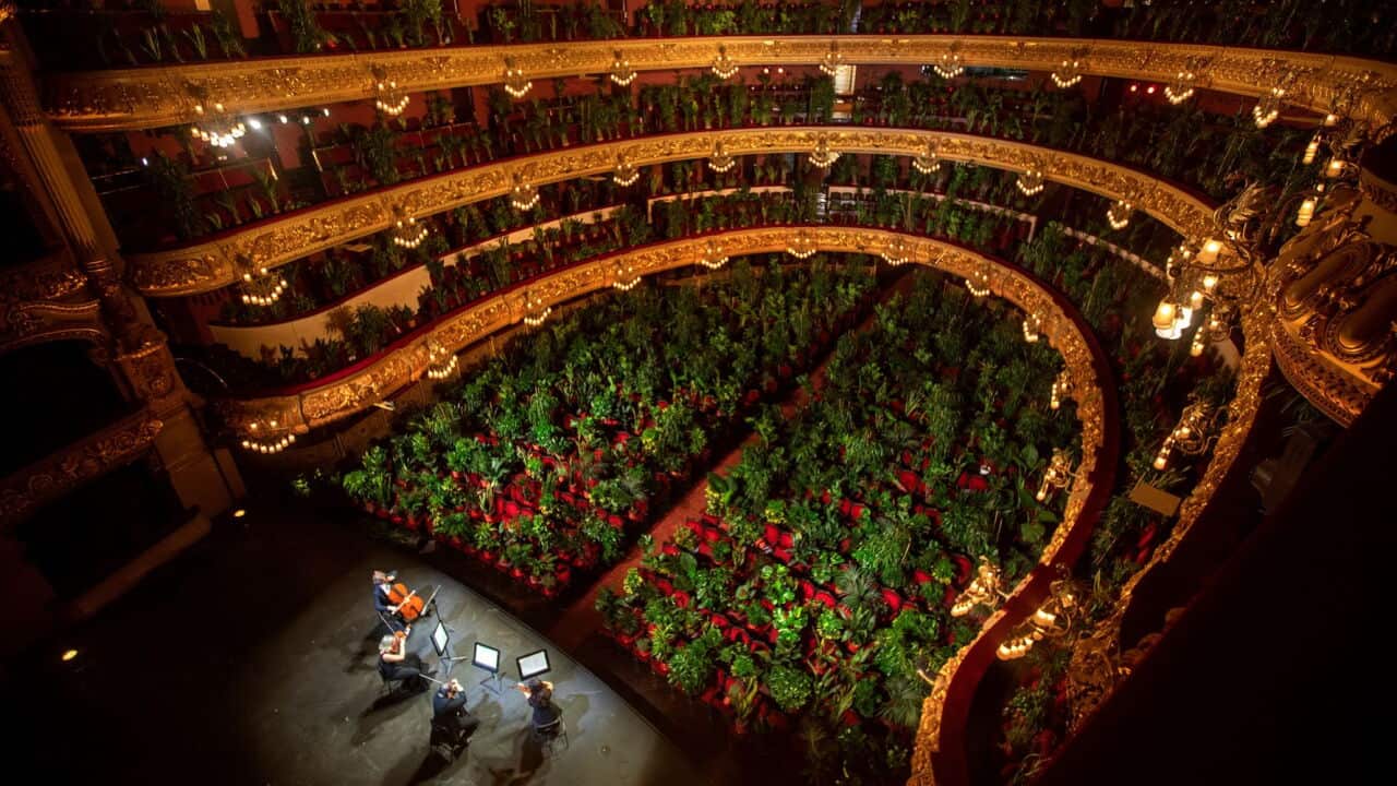 2,292 Plants Fill the Audience in Reopening Performance at Barcelona’s Gran Teatre del Liceu