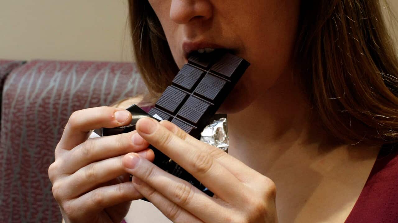20090313000163021111-original.jpg