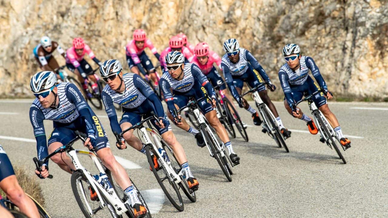 EF Pro Cycling, NIPPO