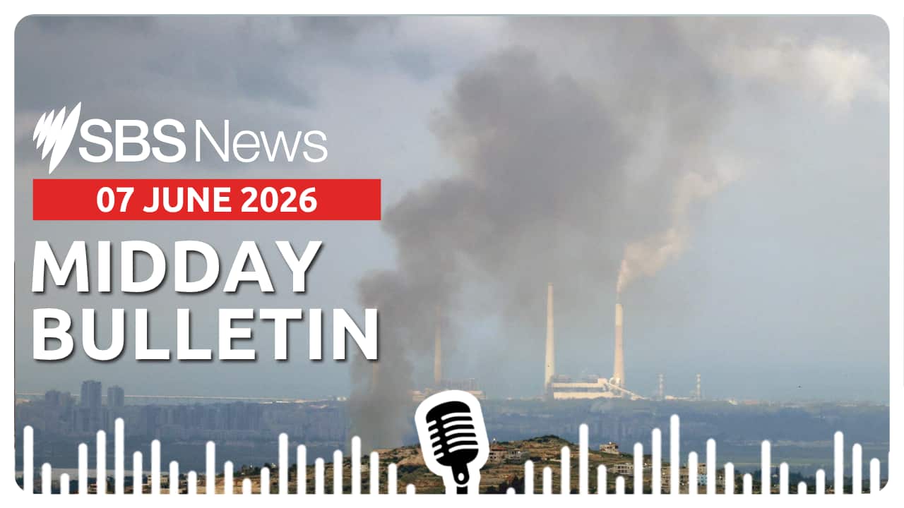 MIDDAY BULLETIN.png